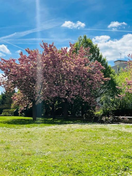 Studio Situe A 5 Min Du Chateau De Versailles Et Stationnement Gratuit Екстер'єр фото